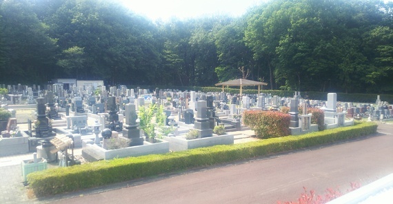 ��ʕ�n�E�Ő���n