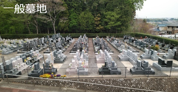 ��ʕ�n�E�Ő���n